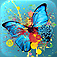 Photo Editor+